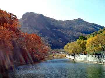 管家婆黑白马报图库，氧化锌报价